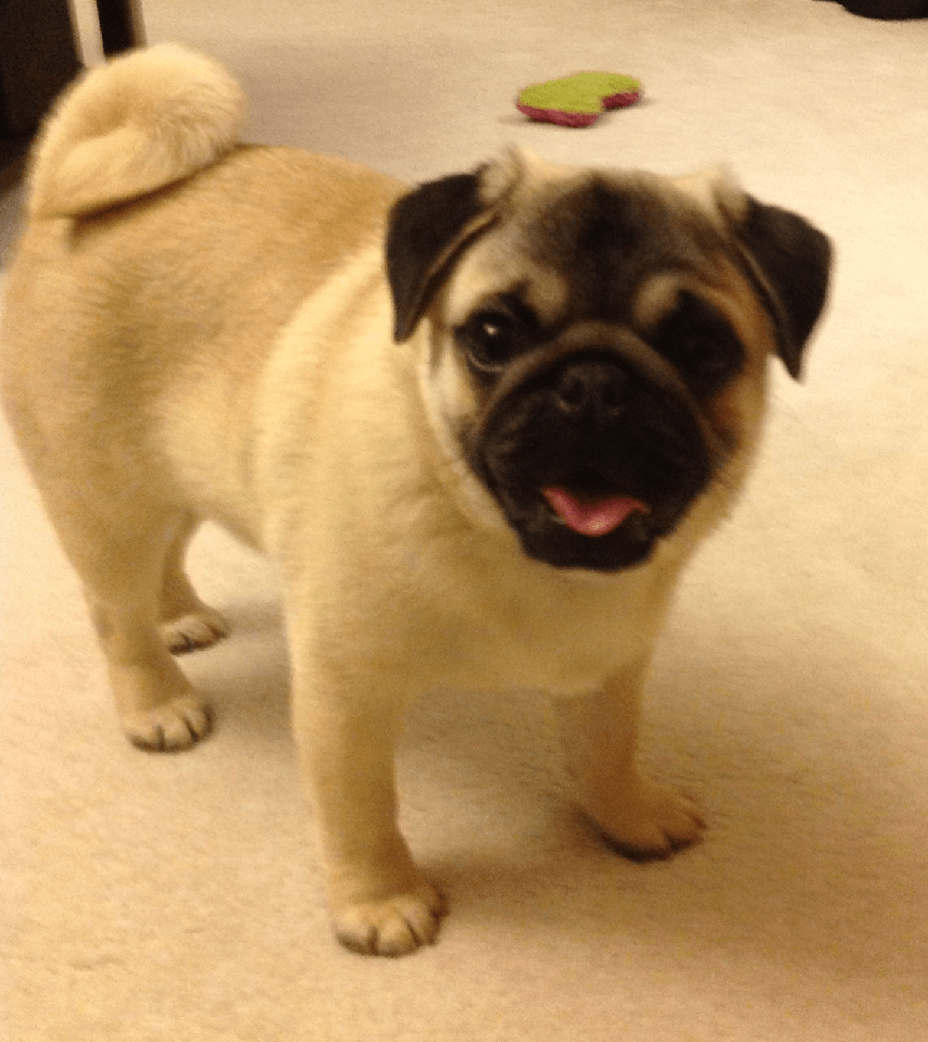 Jangis Con standing.